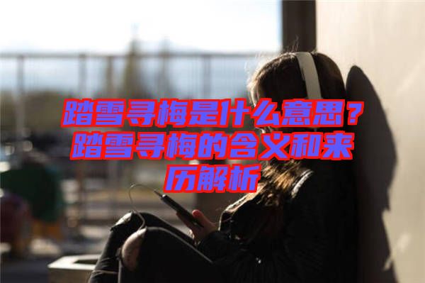 踏雪尋梅是什么意思？踏雪尋梅的含義和來歷解析
