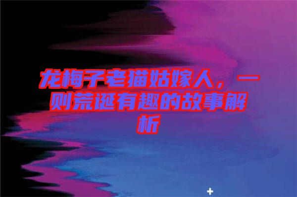 龍梅子老貓姑嫁人，一則荒誕有趣的故事解析