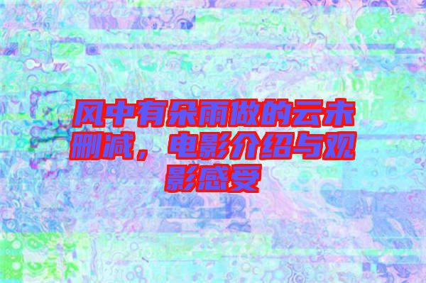 風(fēng)中有朵雨做的云未刪減，電影介紹與觀影感受