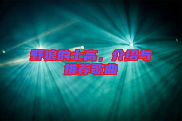 野狼的士高，介紹與推薦歌曲