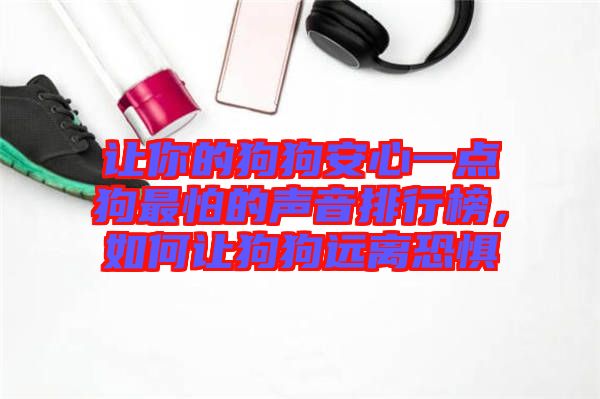 讓你的狗狗安心一點狗最怕的聲音排行榜，如何讓狗狗遠離恐懼