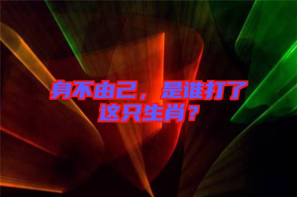 身不由己，是誰打了這只生肖？