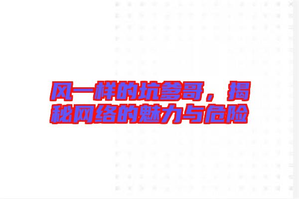 風一樣的坑爹哥，揭秘網絡的魅力與危險