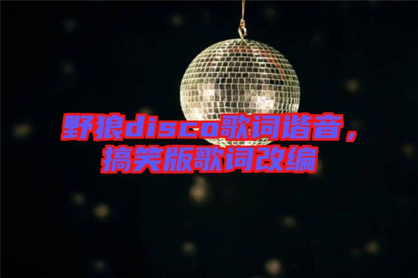 野狼disco歌詞諧音，搞笑版歌詞改編