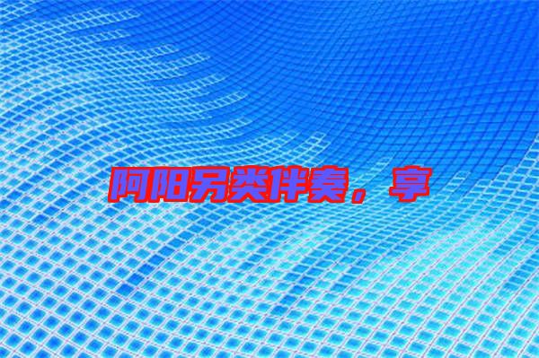 阿陽另類伴奏，享
